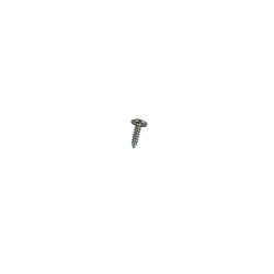Chrome Panhead Screw