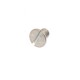 Brake drum screw