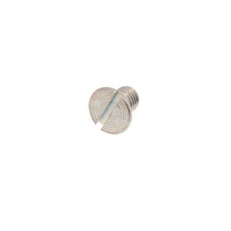 Brake drum screw