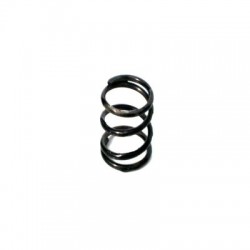 Brake show hold down spring