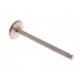 Exhaust valve