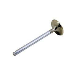 Inlet valve