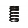 Valve spring
