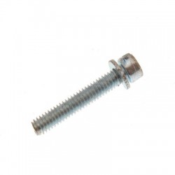 Short screw for the float chamber