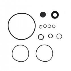 Power steering seal kit