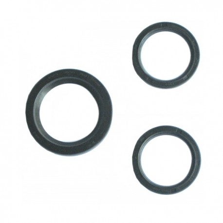 Differential oil seal set