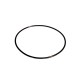 Internal pump body 'O' ring