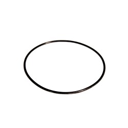 Internal pump body 'O' ring