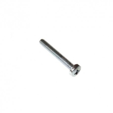 Screw