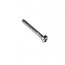 Screw