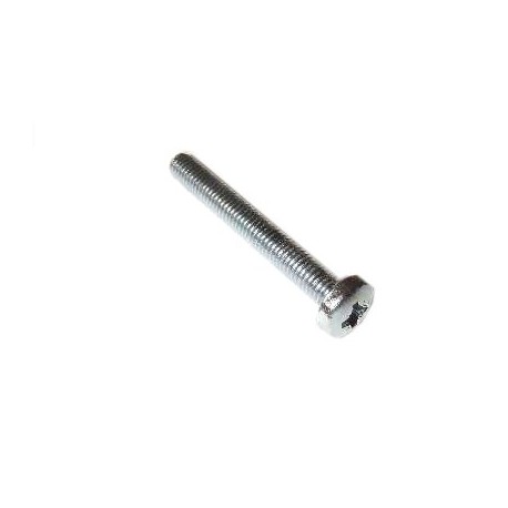 Screw