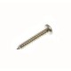 Screw self tapping pan head