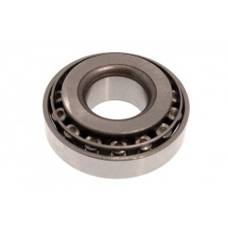 Bearing Diff Pinnion