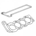 Gaskets & Seals